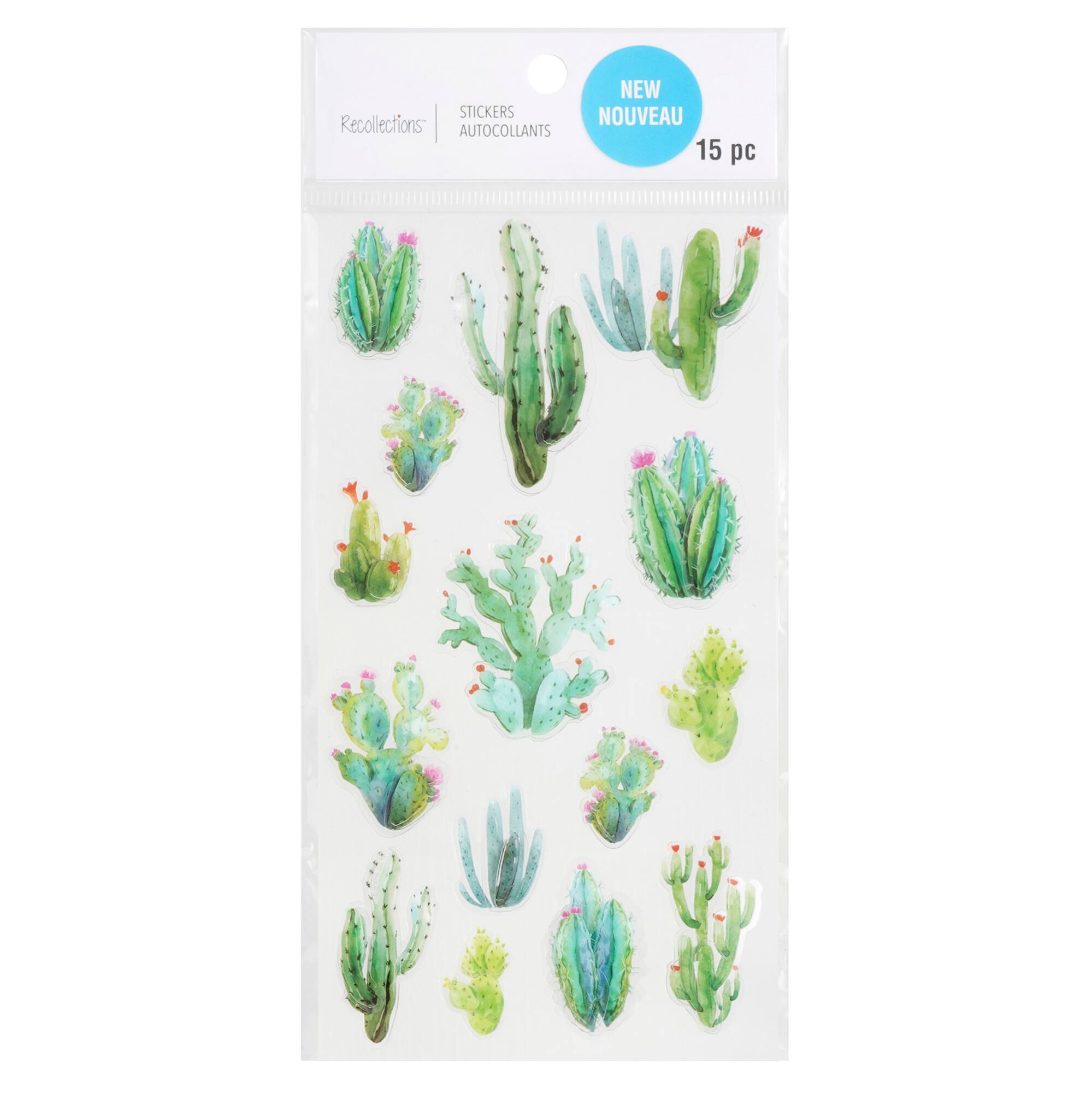 Cactus Dimensional Stickers by Recollections™